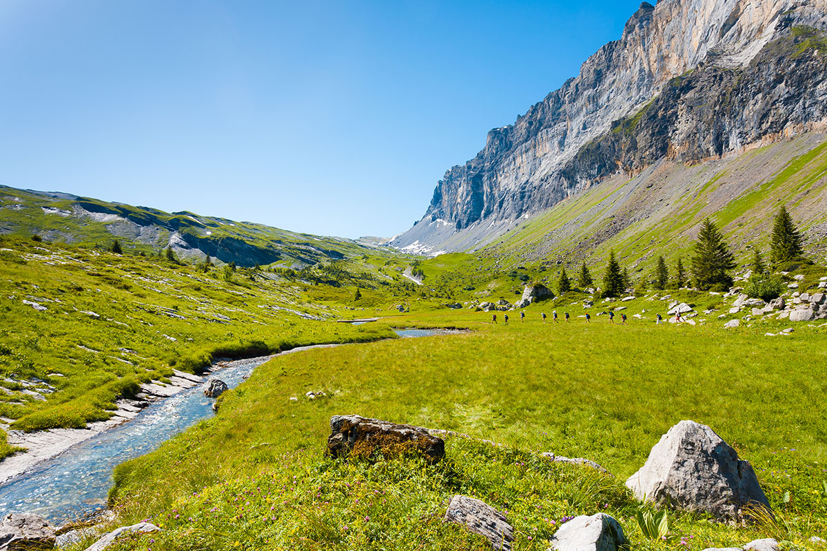 Nature Reserve de Sixt-Passy