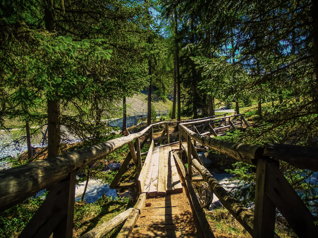 Bridge in Swiss National Park