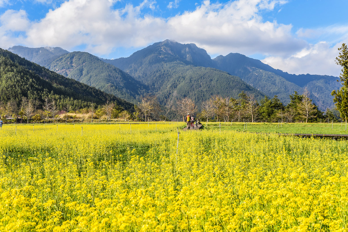 Taoshan National Forest Park