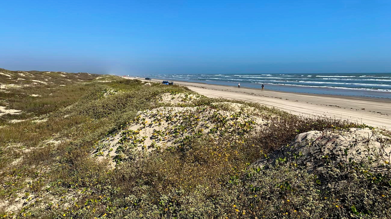 Padre Island National Seashore