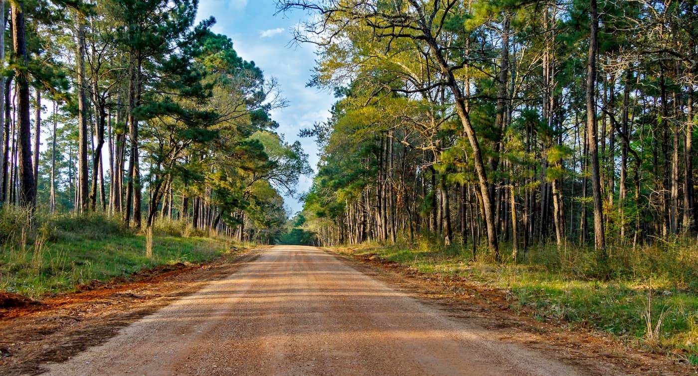 Sam Houston National Forest