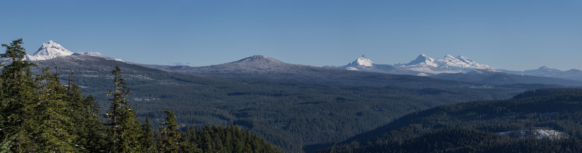 Three Fingered Jack