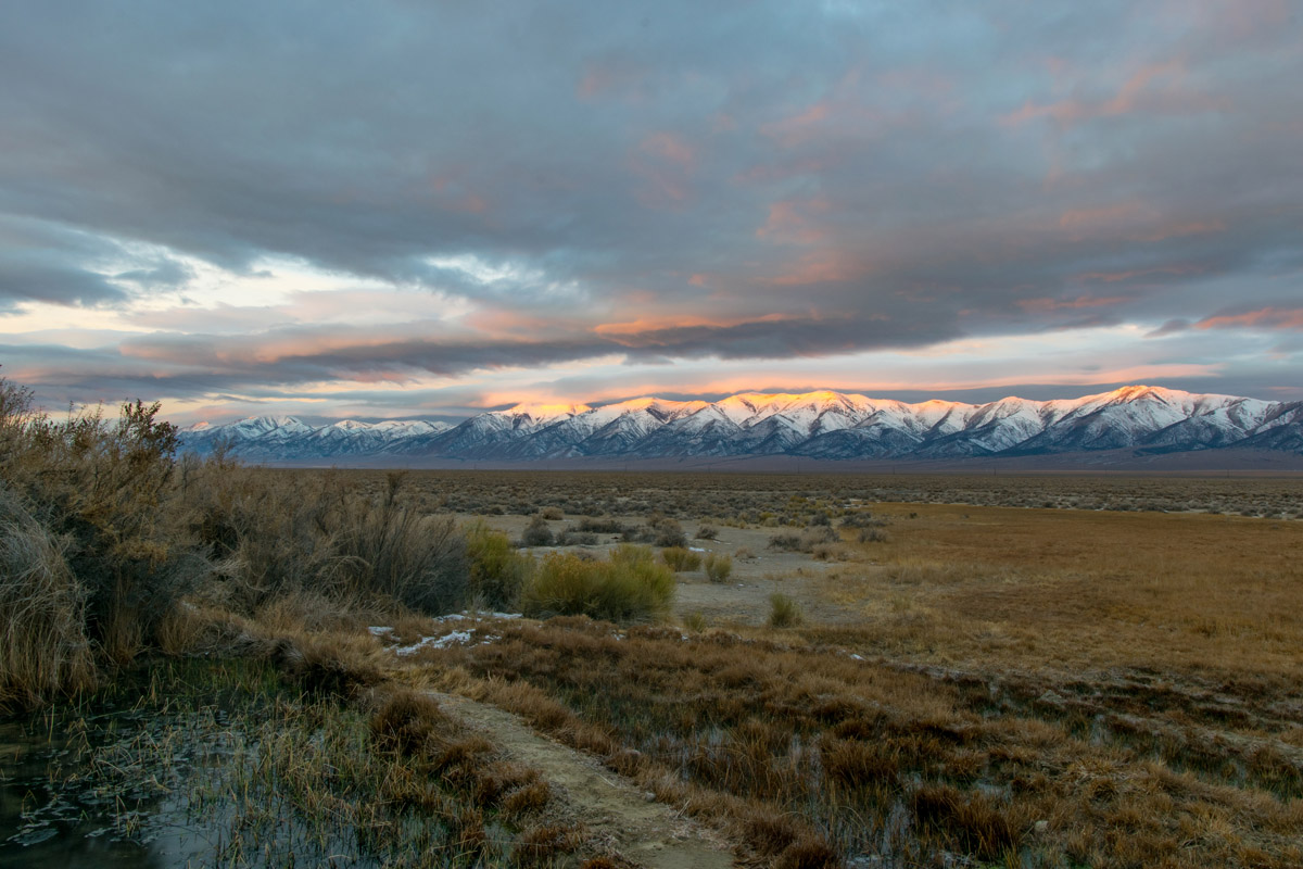 Humboldt Toiyabe National Forest