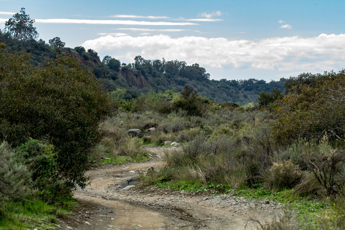 Trail Through Holy Jim Canyon, Cleveland National Forest,, 57% OFF