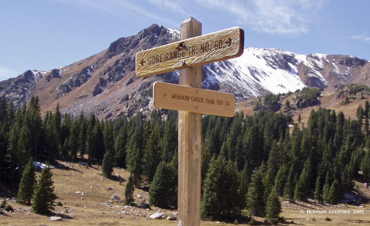 Trail Junction - Buffalo Mountain Loop