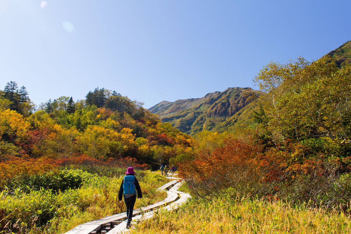 Tsugaike Nature Park