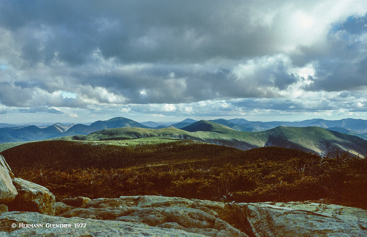 Twin Range from Mount Guyot