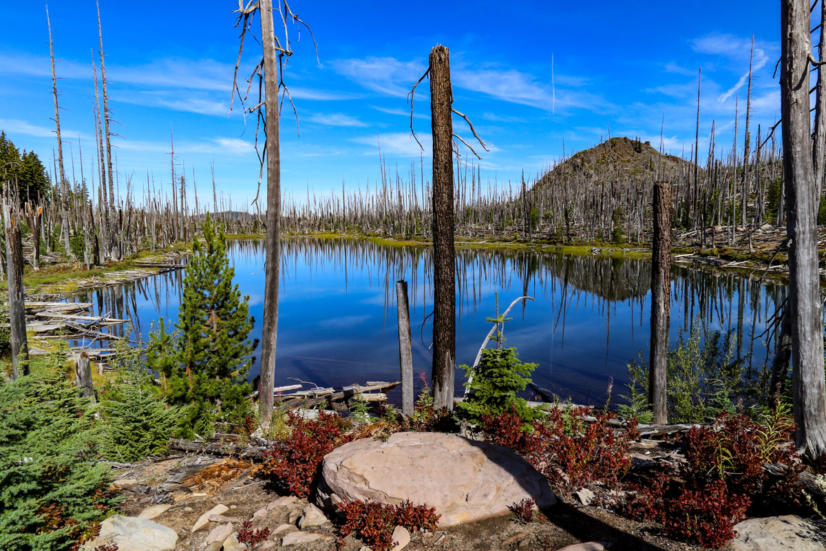 TWaldo Lake Wilderness