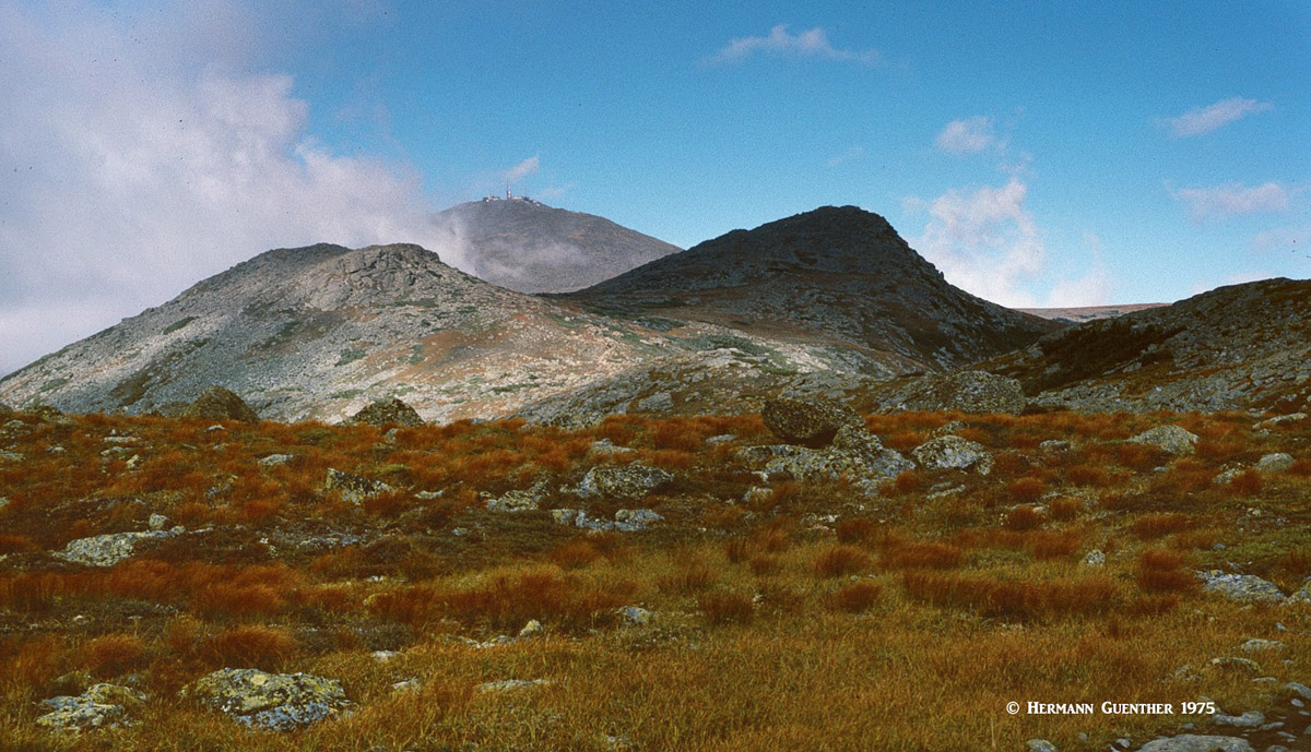 Presidential Traverse