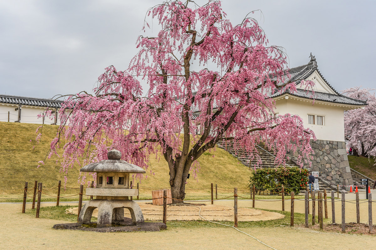 Yamagata Castle
