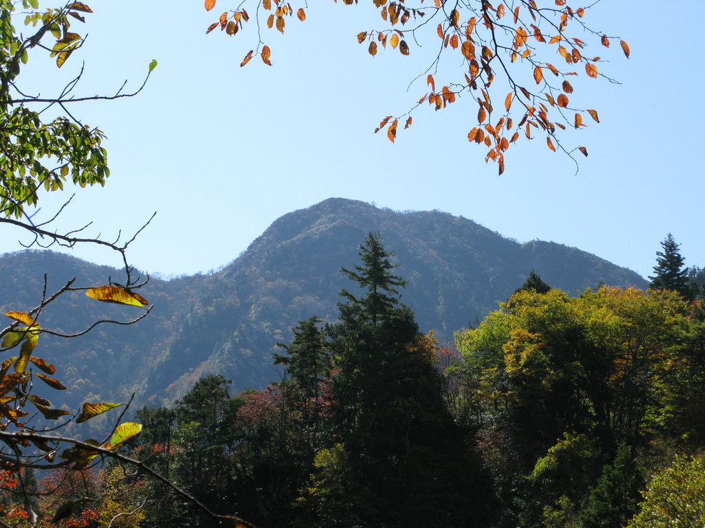 Photo №1 of Mt. Arakai