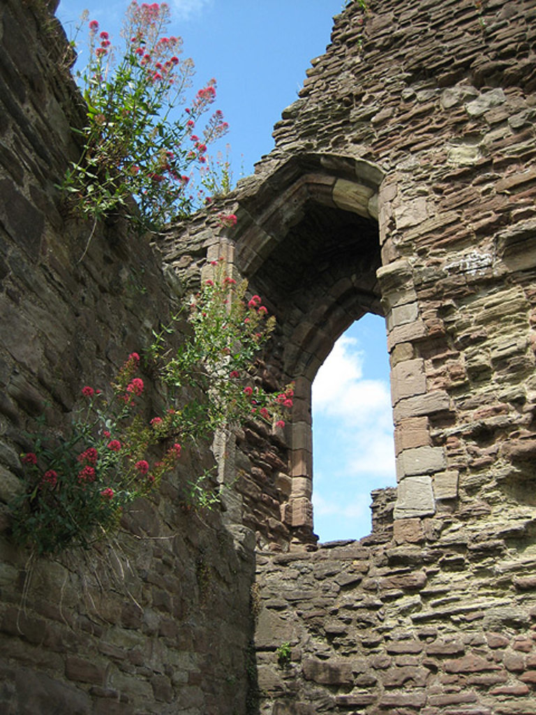 Photo №5 of Monmouth Castle