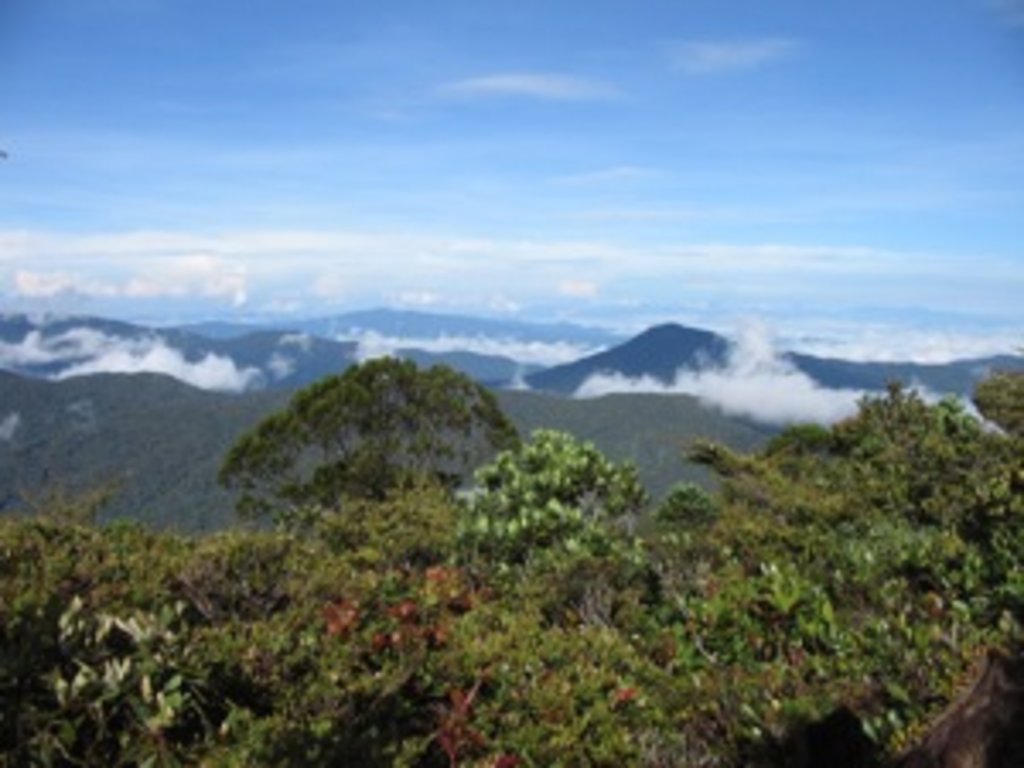 Photo №1 of Gunung Chamah