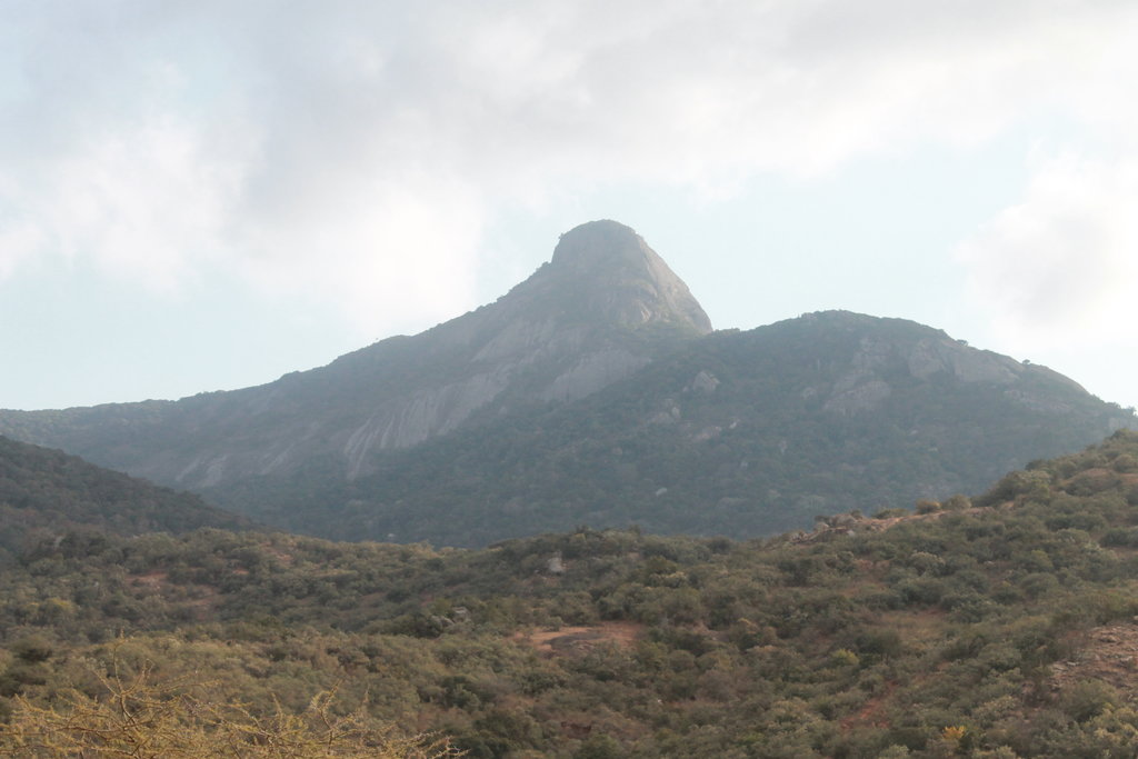 Photo №1 of Mount Longido