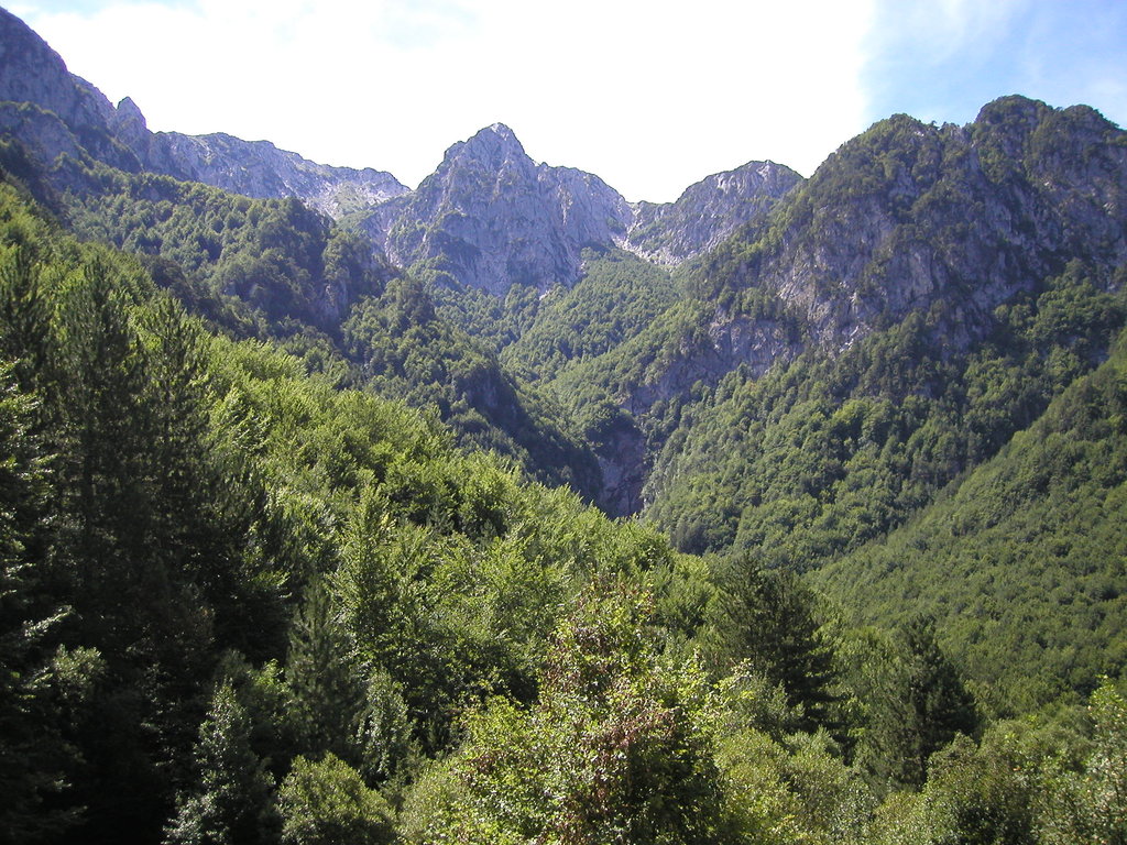Photo №1 of Monte Di Valle Caprara