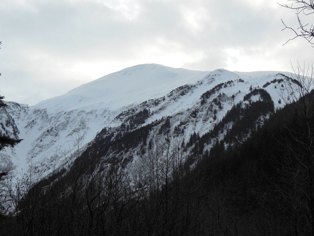 Photo №1 of Gastineau Peak