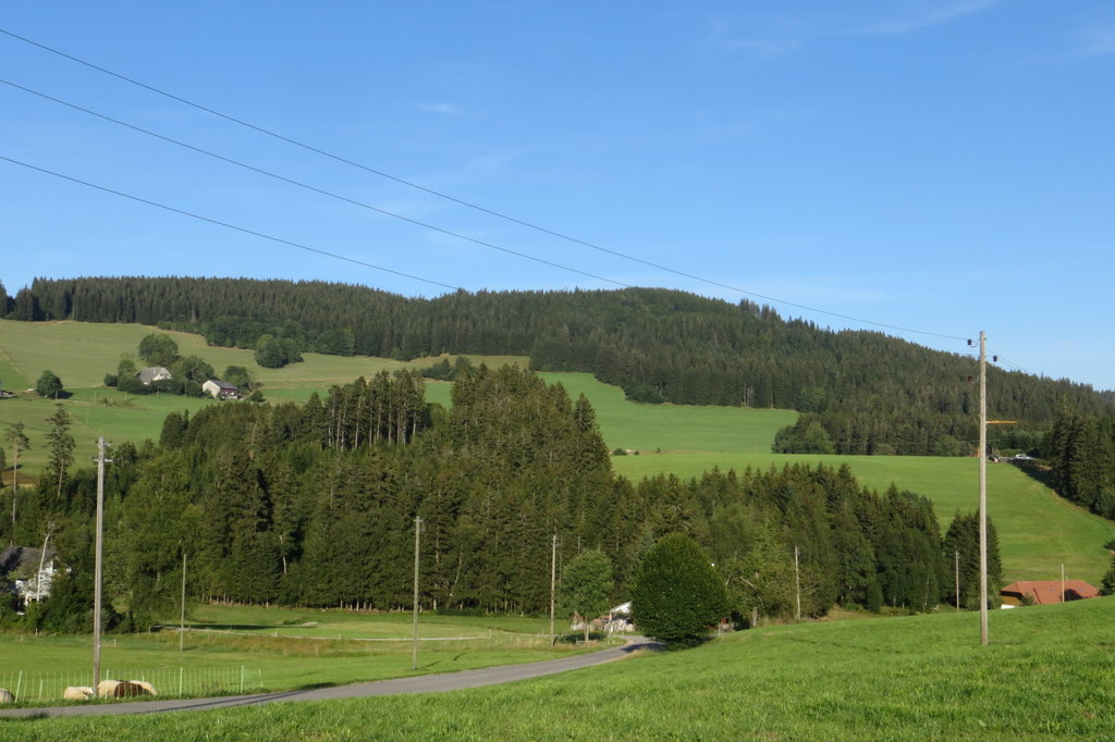 Photo №1 of Weißtannenhöhe