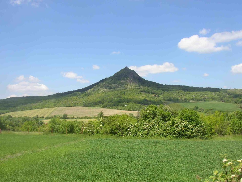 Mongol Elements In Manchu main image 0