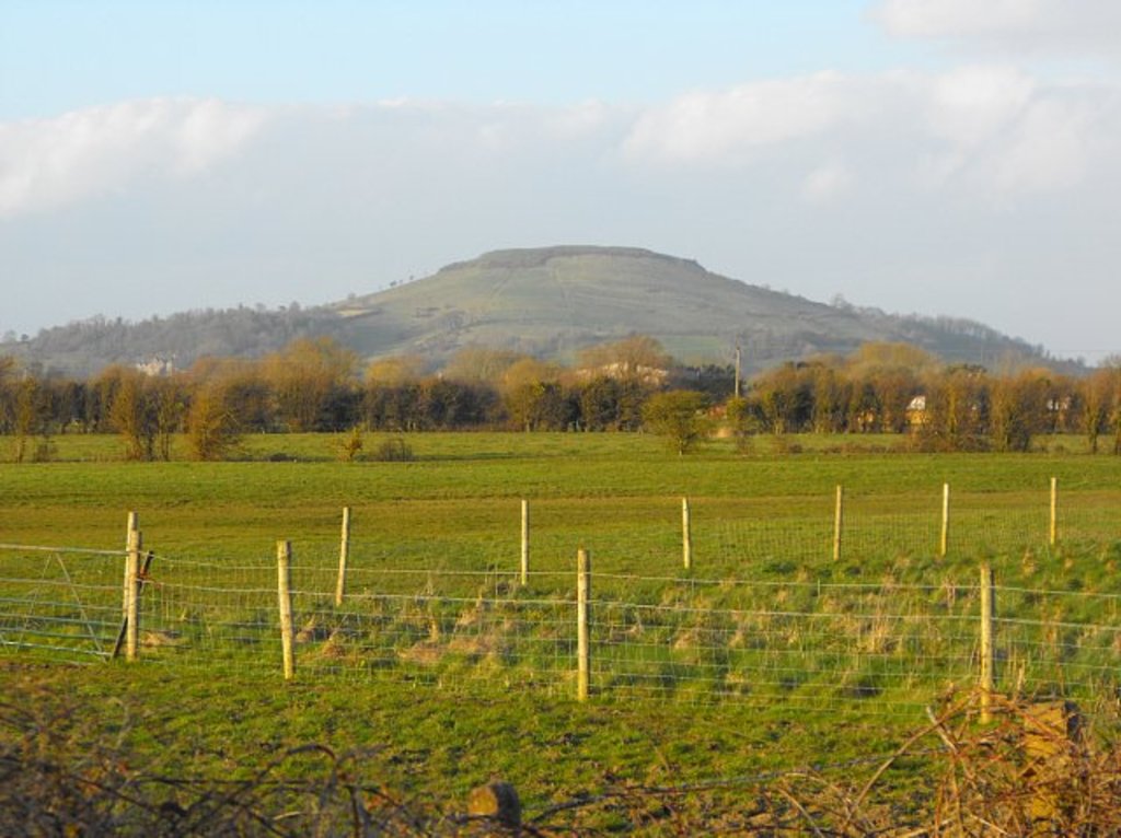 Photo №1 of Brent Knoll
