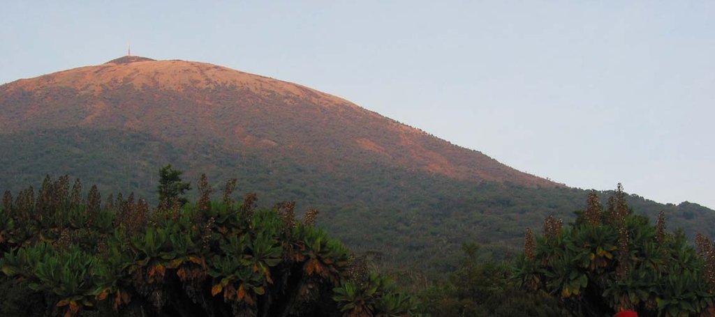 Photo №1 of Mount Karisimbi