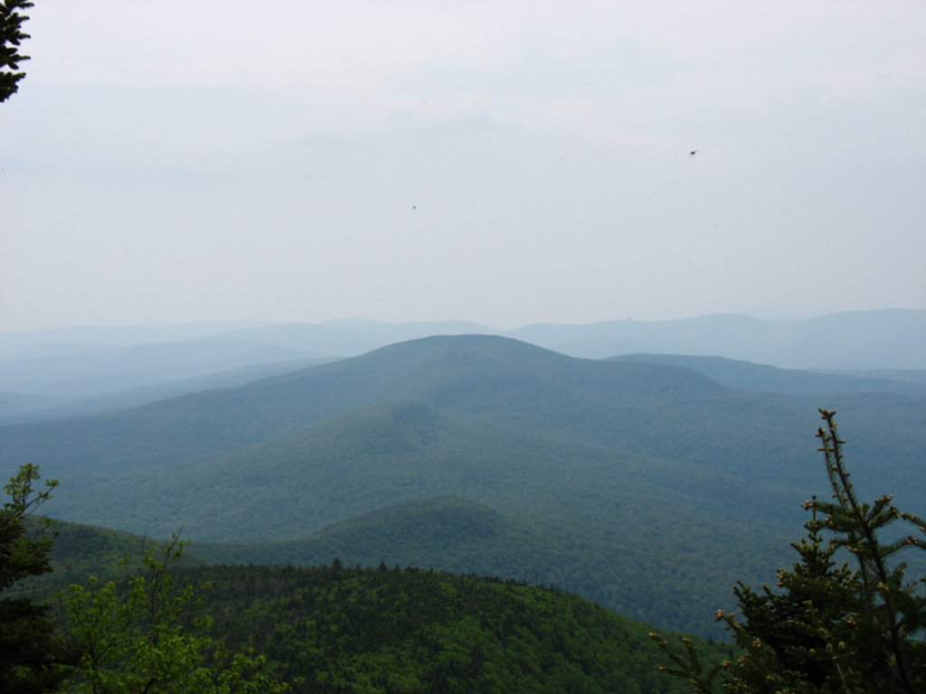 Photo №3 of Panther Mountain