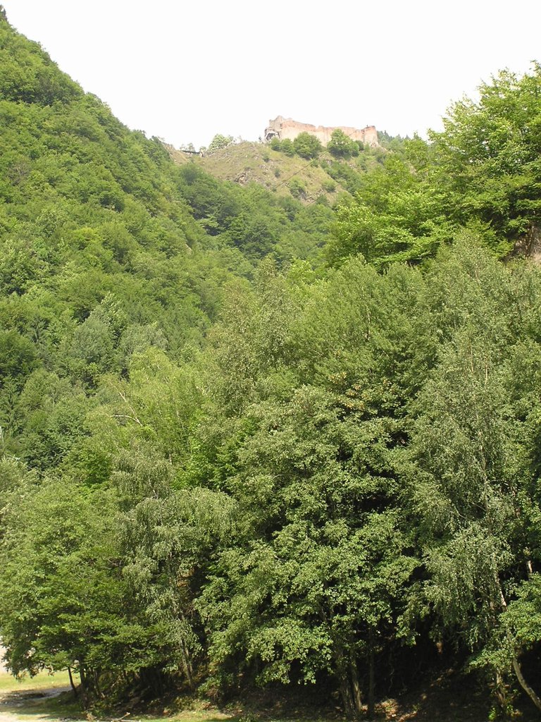 Photo №2 of Poenari Castle
