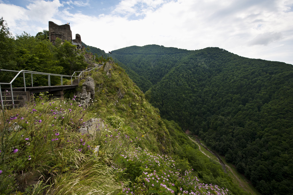 Photo №1 of Poenari Castle