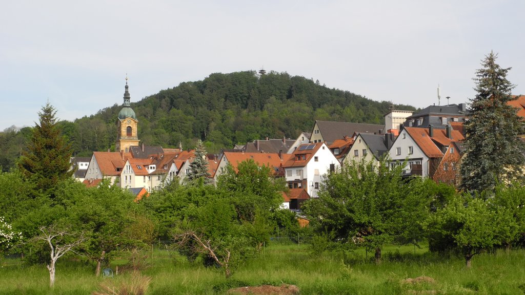 Photo №1 of Schlossberg