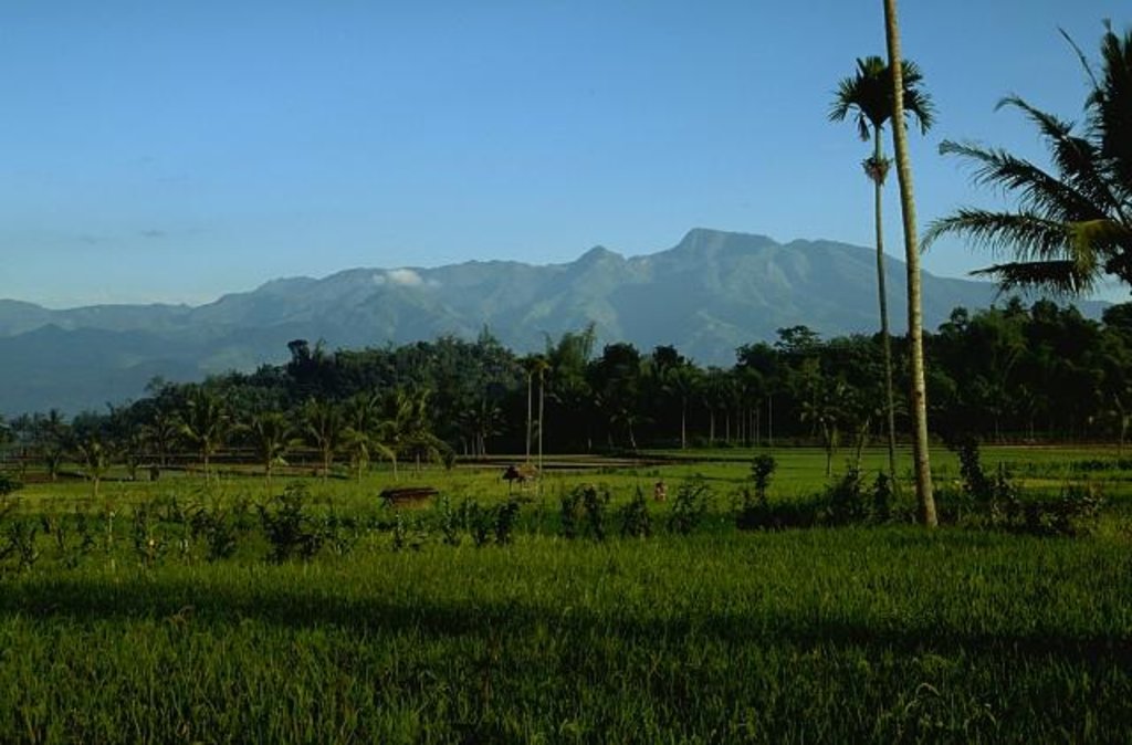 Photo №1 of Gunung Argopuro