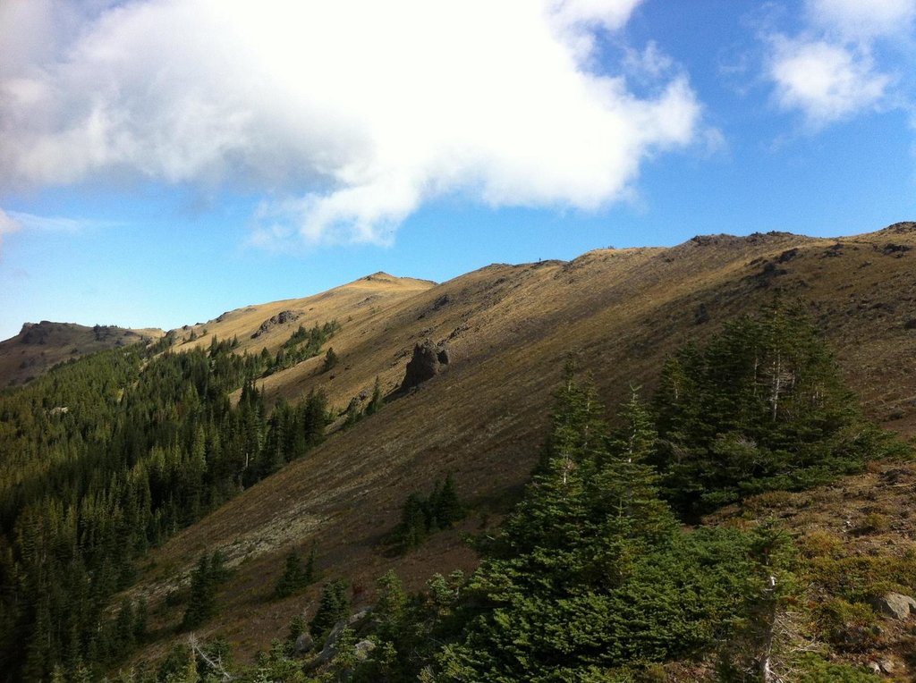 Photo №1 of Mount Townsend