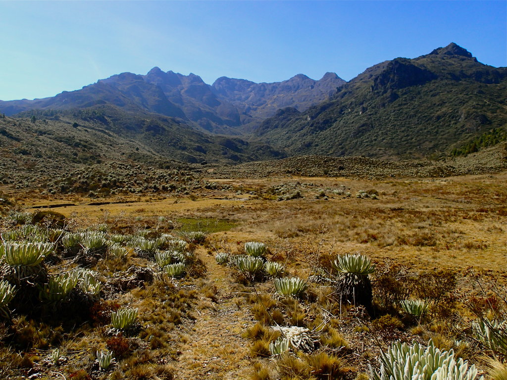 Photo №1 of Pico Mucuñuque