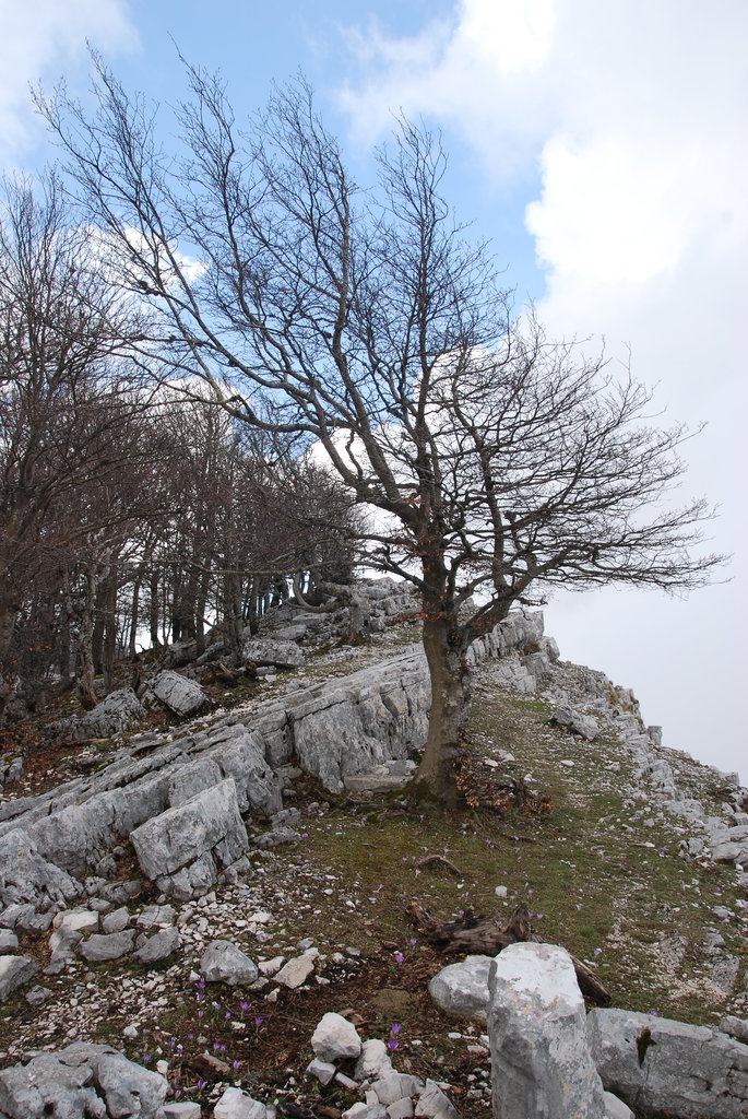 Photo №1 of Monte Semprevisa