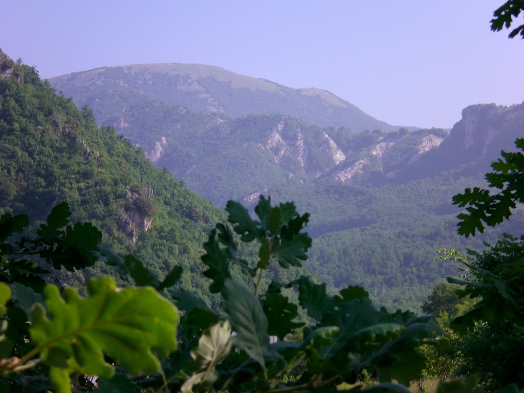 Photo №1 of Monte Polveracchio
