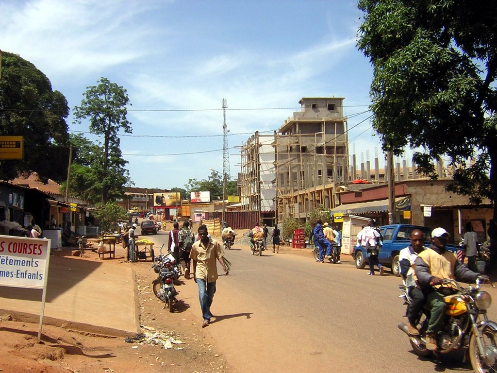 Cameroon Mountains