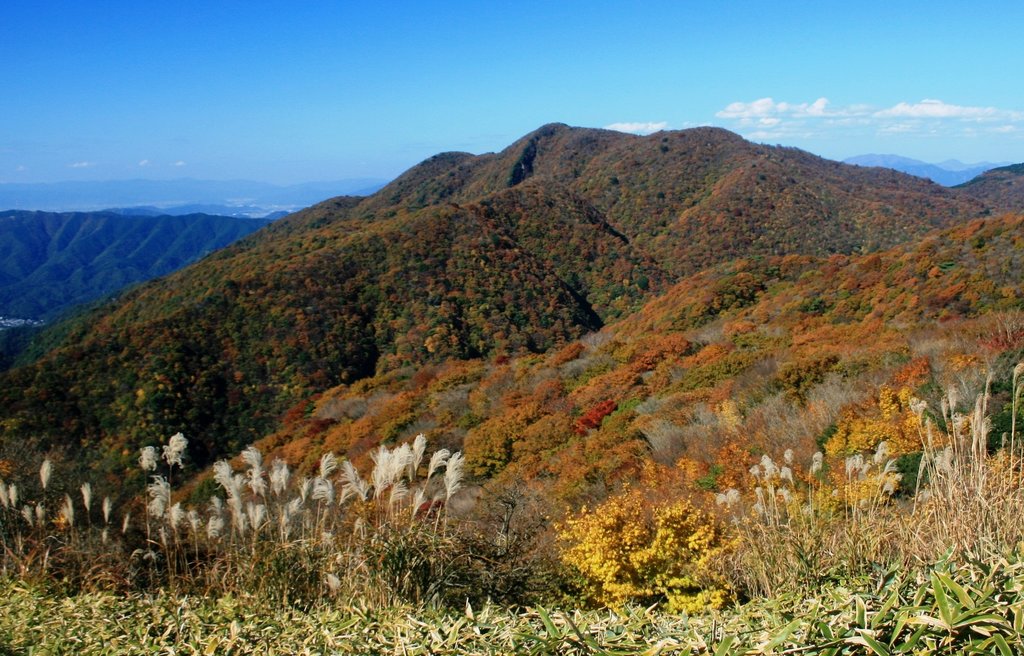 Photo №1 of Mt. Shogadake