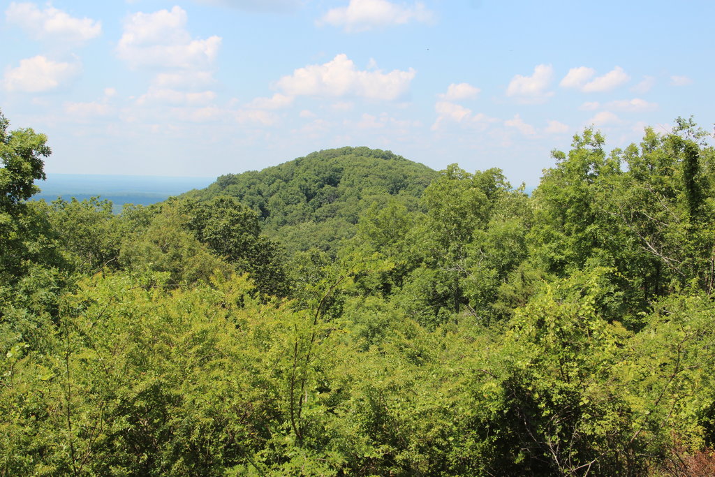 Photo №4 of Little Kennesaw Mountain