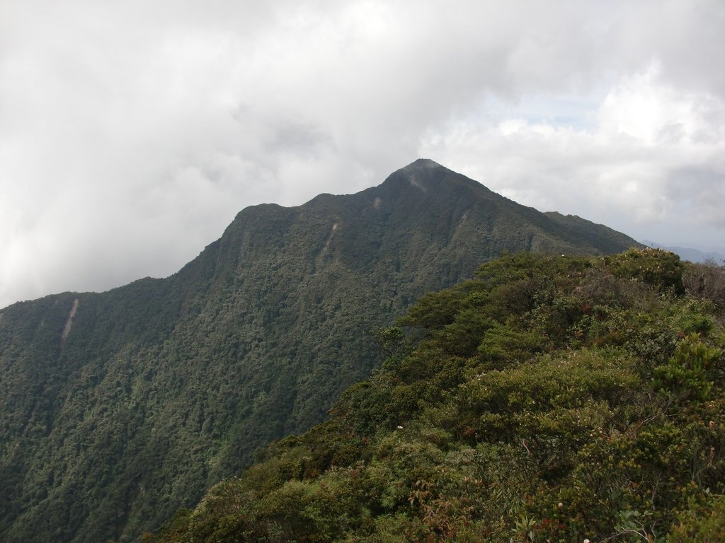 Photo №1 of Gunung Korbu