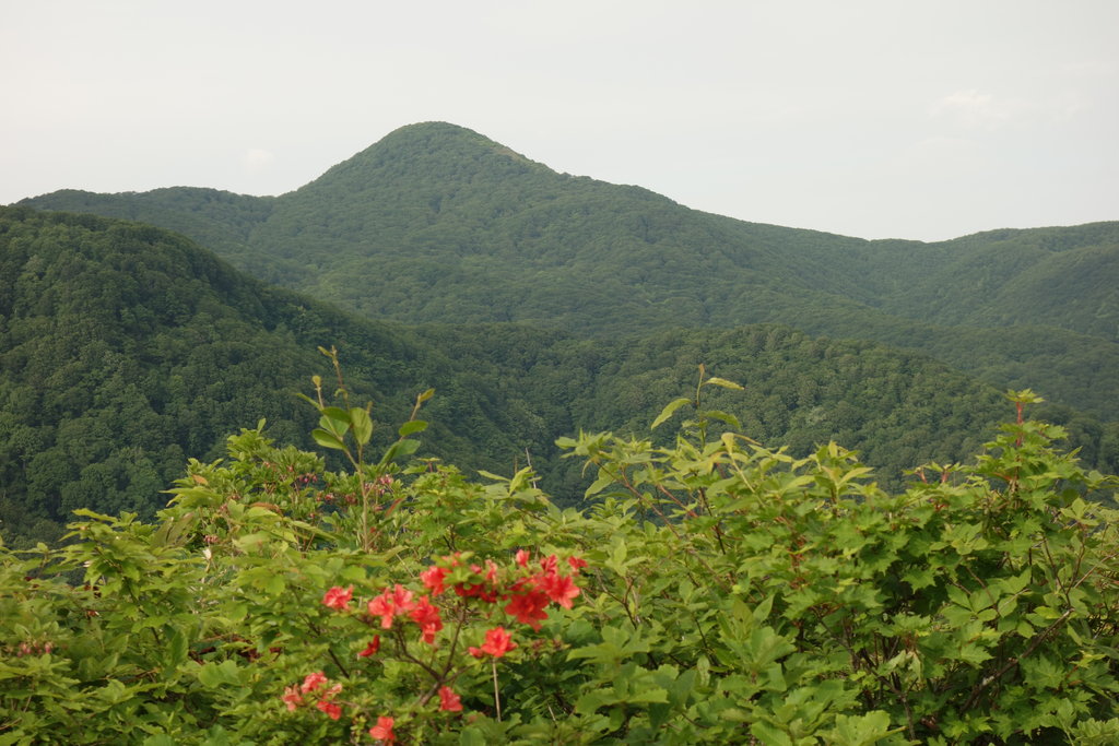 Photo №1 of Mt. Megami