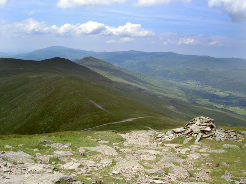 Photo №1 of Brown Pike