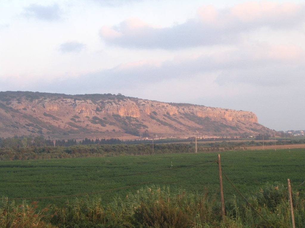 Haifa District