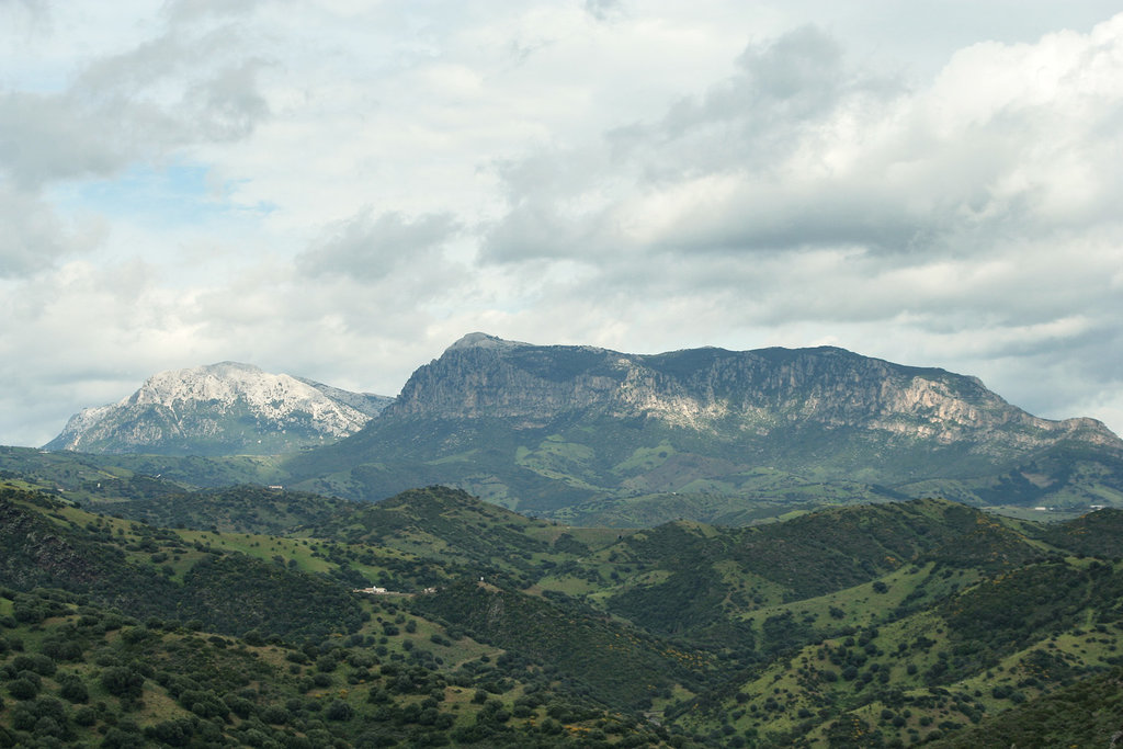 Photo №1 of Monte Albo Baronte