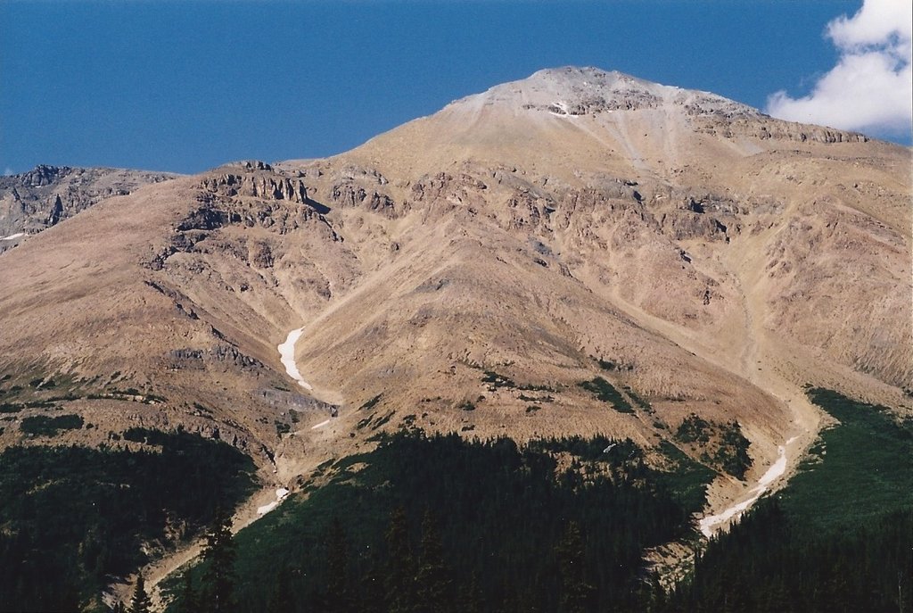 Photo №1 of Observation Peak