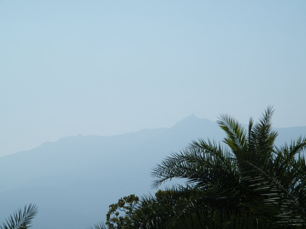Photo №1 of Parasnath Hills