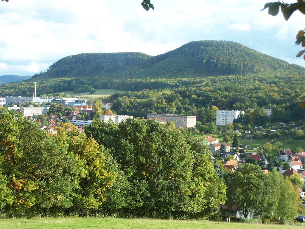 Photo №1 of Großer Wartberg