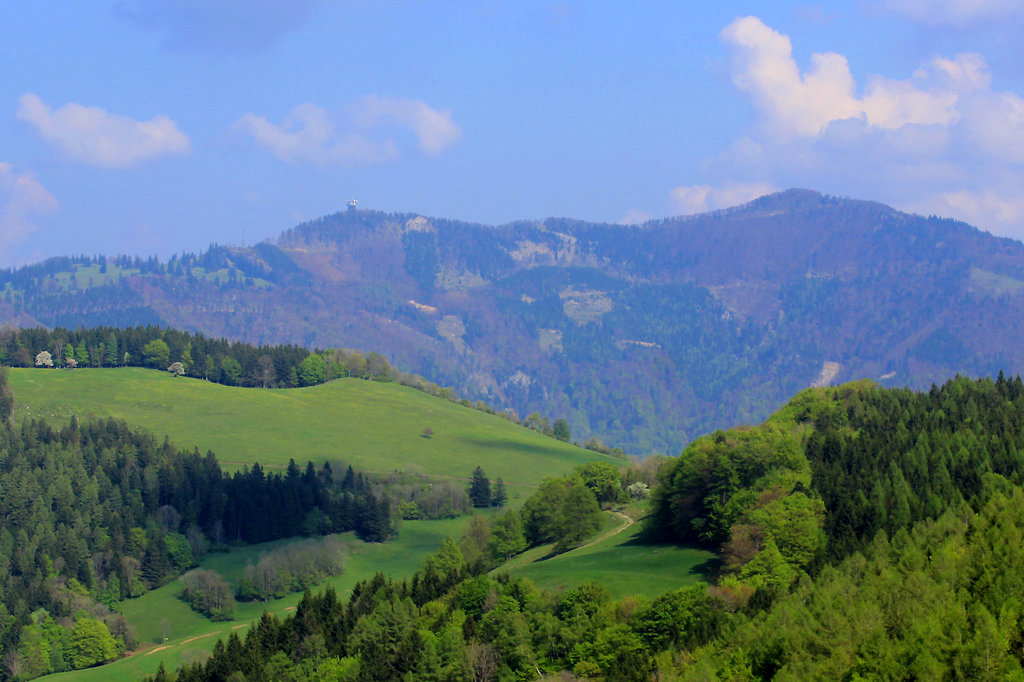 Gutenstein Alps