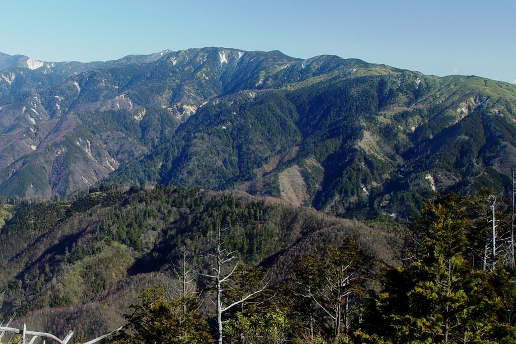 Photo №1 of Mount Surikogi