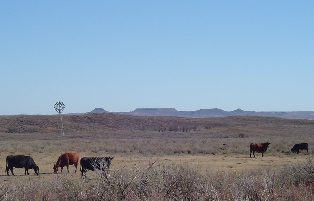 Photo №1 of Antelope Hills