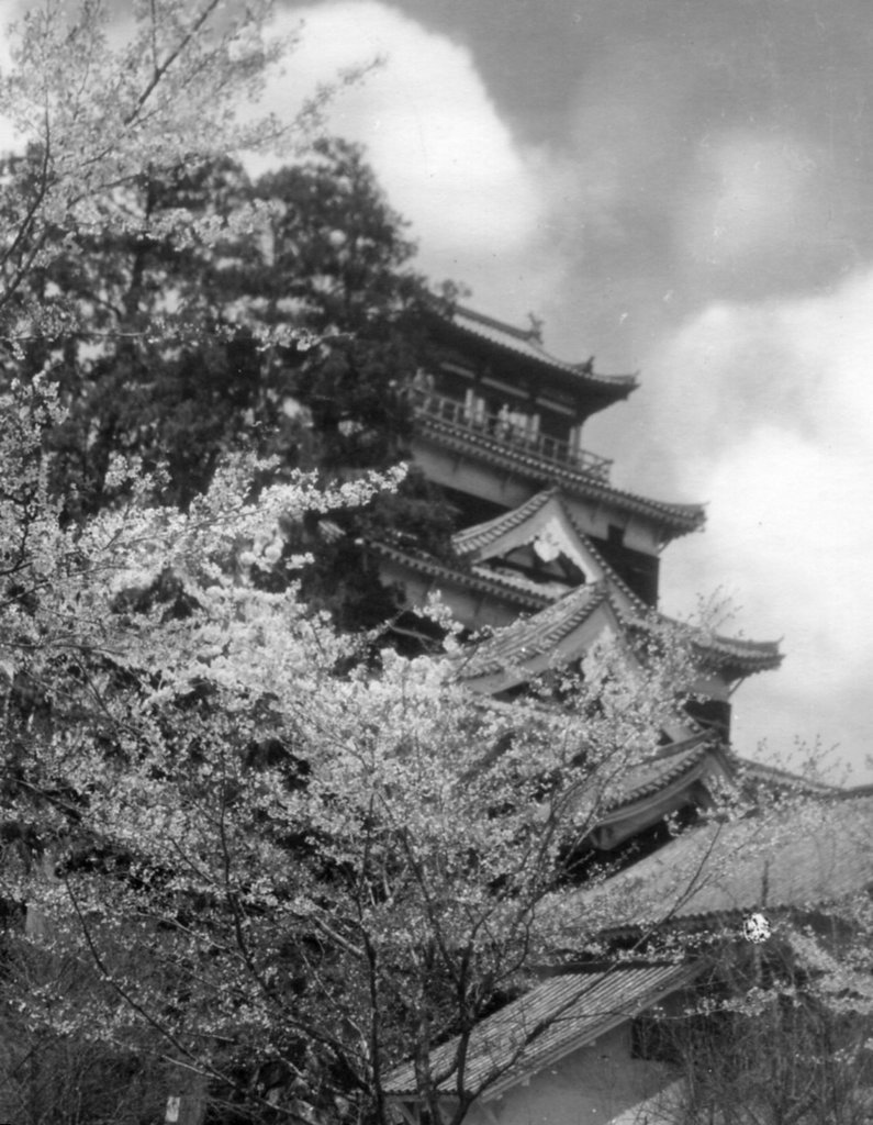 Photo №2 of Hiroshima Castle