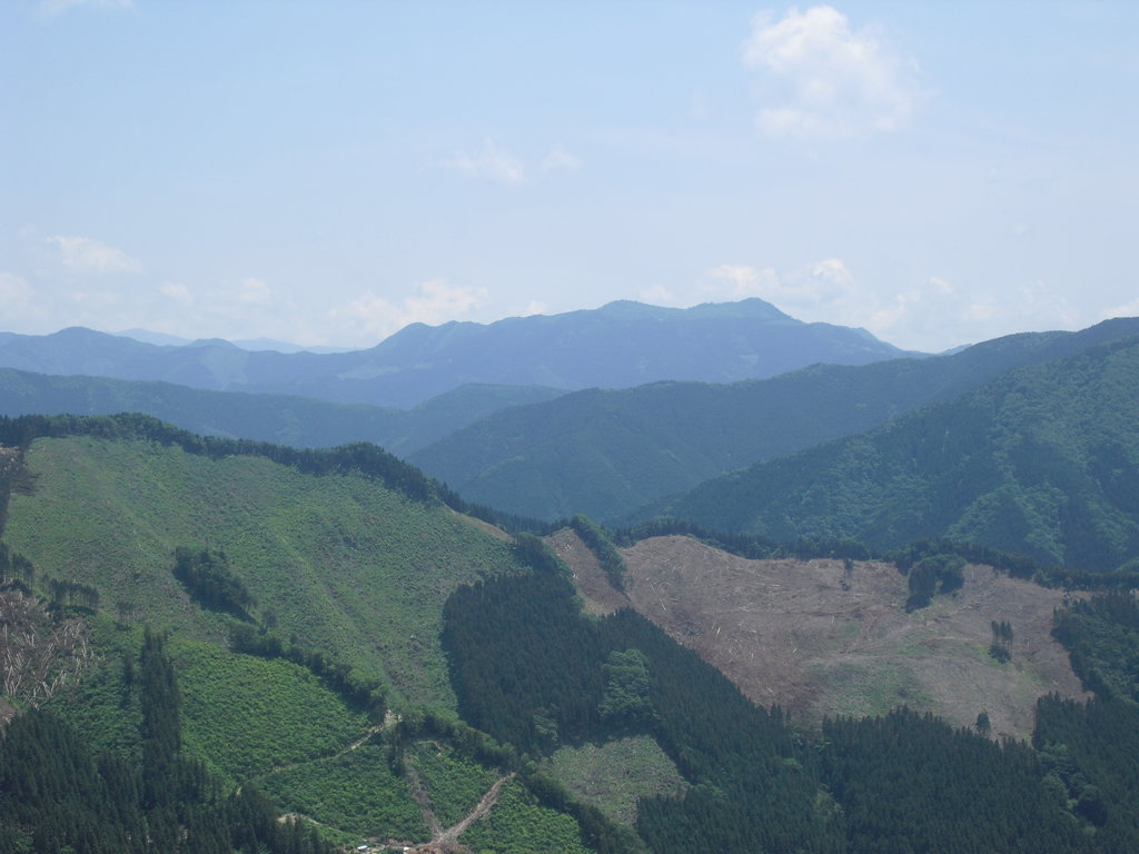 Photo №1 of Mt. Nokanoike