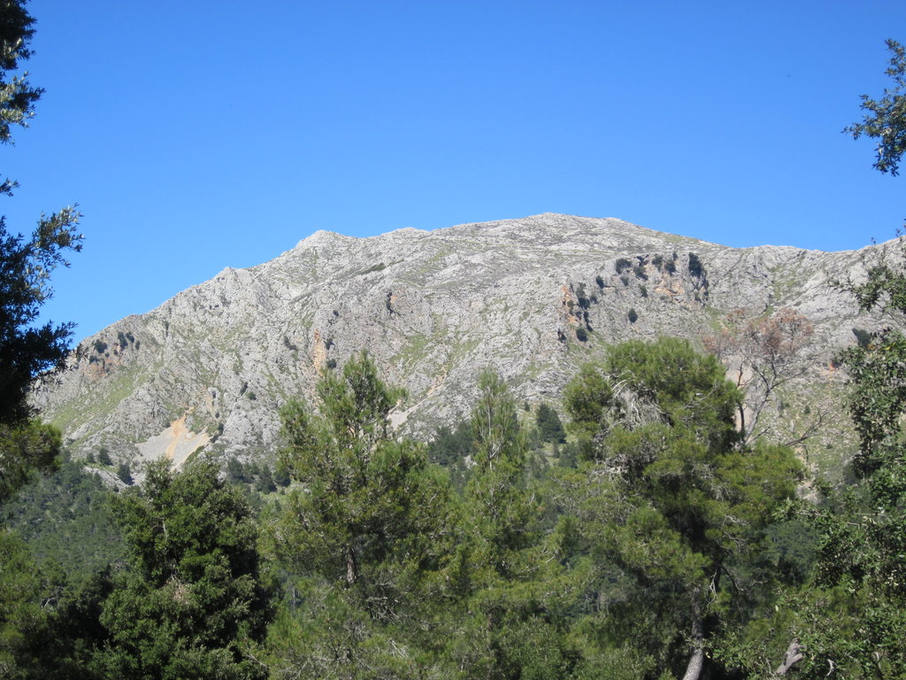 Photo №1 of Puig Tomir